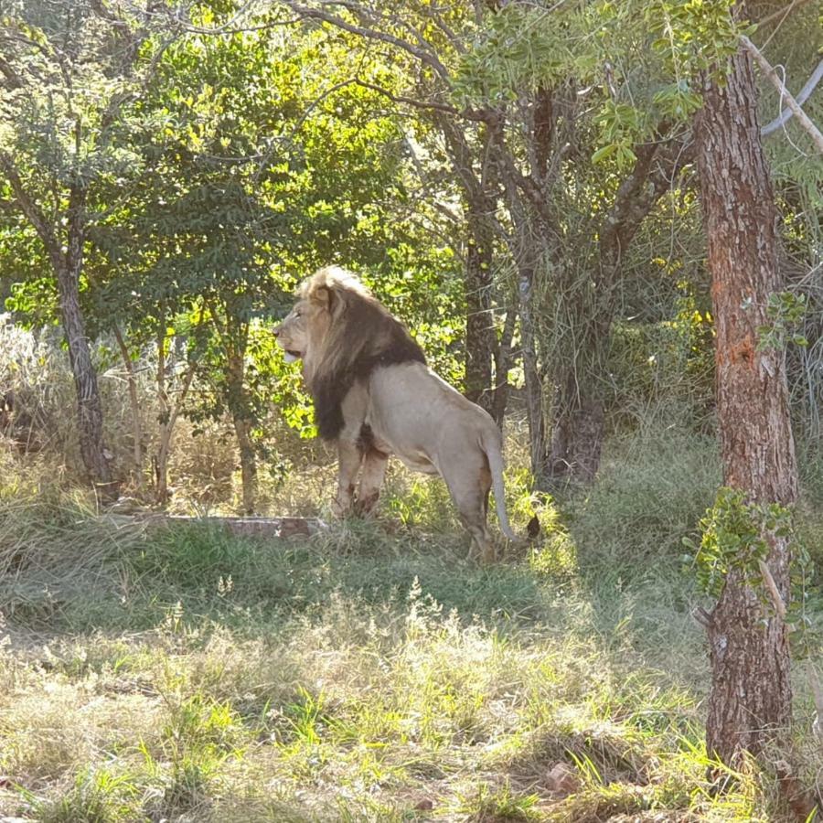 Phakela Private Lodge Northam Exterior photo